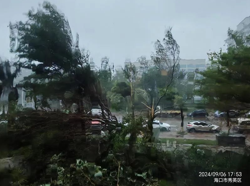 微信图片_20241225094759.png