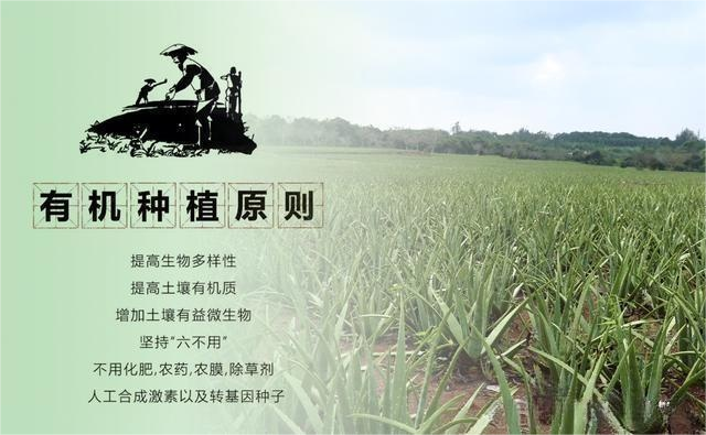 有机-种植-芦荟.png