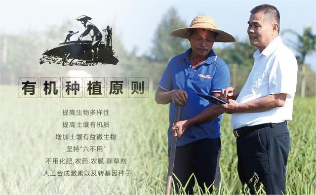 数字化-管理-有-机芦荟-种植基地.png