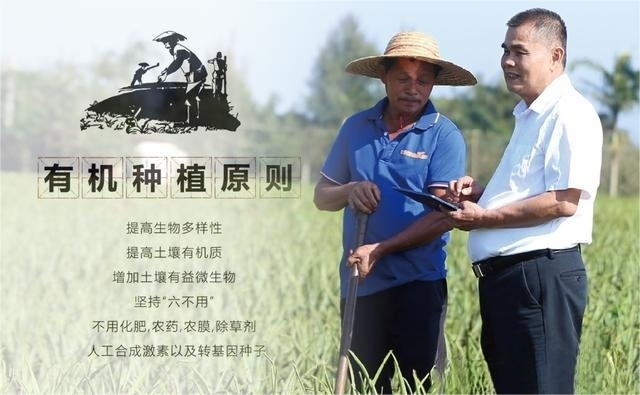 数字化-基地-管理-高品质-芦荟.png